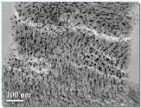 高分散度之奈米觸媒 高分散度之奈米觸媒